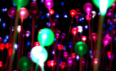 在线手机号呼死你