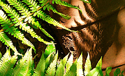 在线手机号呼死你